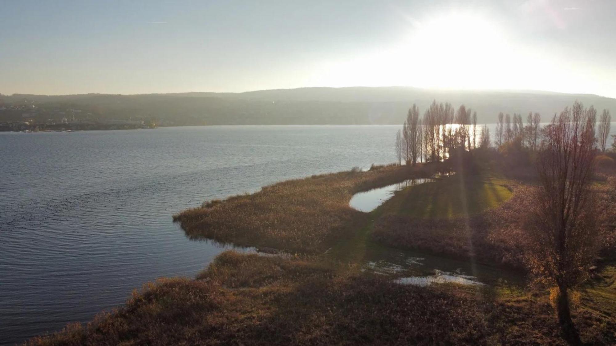 Seeluft Direkt Am Wasser Reichenau Exteriér fotografie